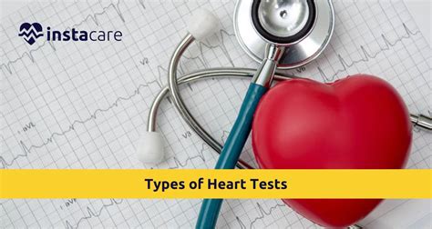 heart tests word hike|Word Hike Heart tests (fluctuated line chart) answer.